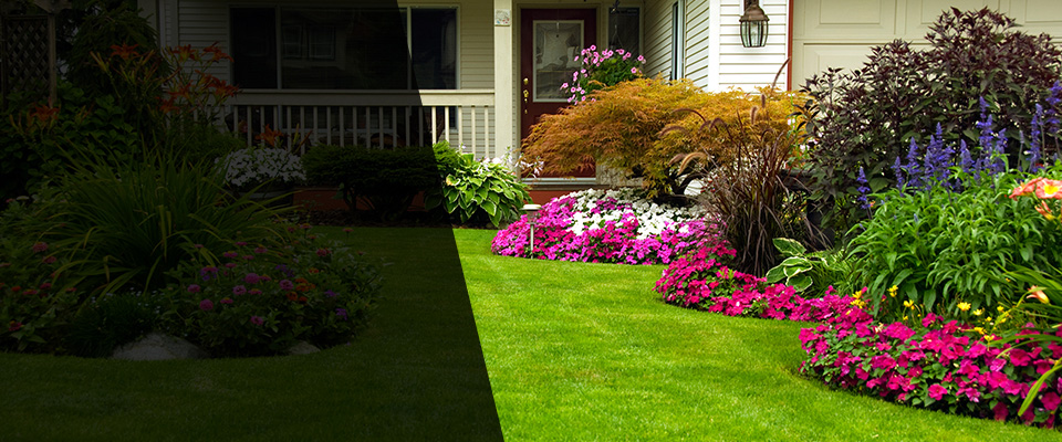 Staples Landscapers