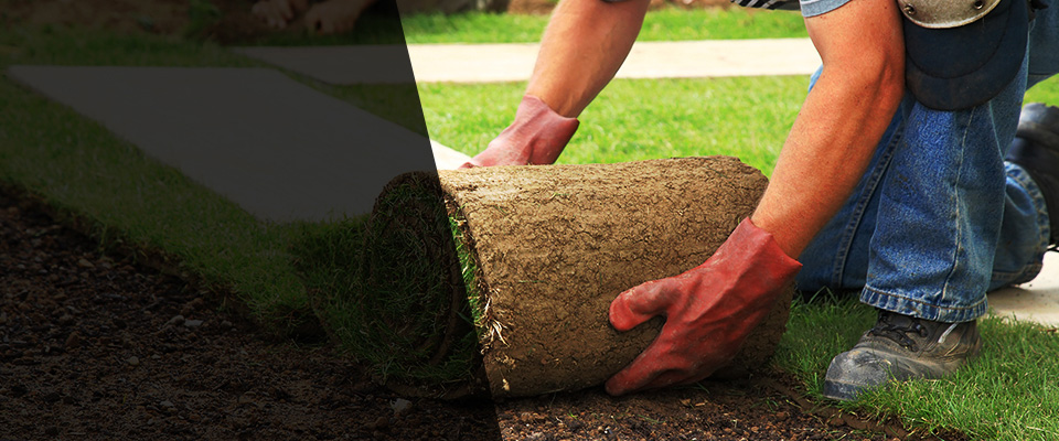 Staples Landscapers